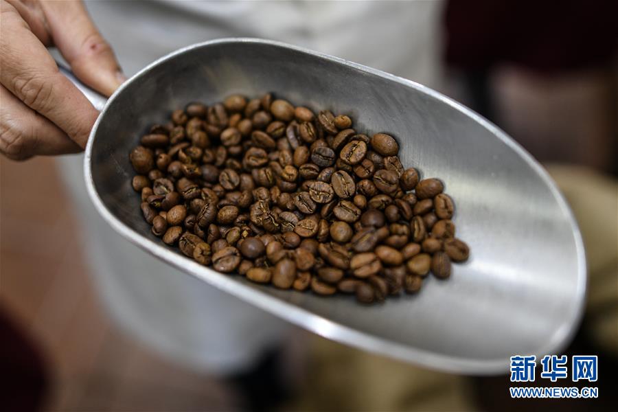 （国际）（13）哥斯达黎加&mdash;&mdash;中美洲的&ldquo;咖啡王国&rdquo;