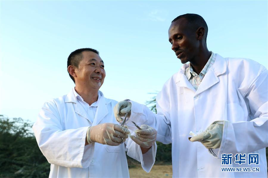 （国际&middot;图文互动）（1）中国农业专家与吉布提兽医的&ldquo;师徒情&rdquo;
