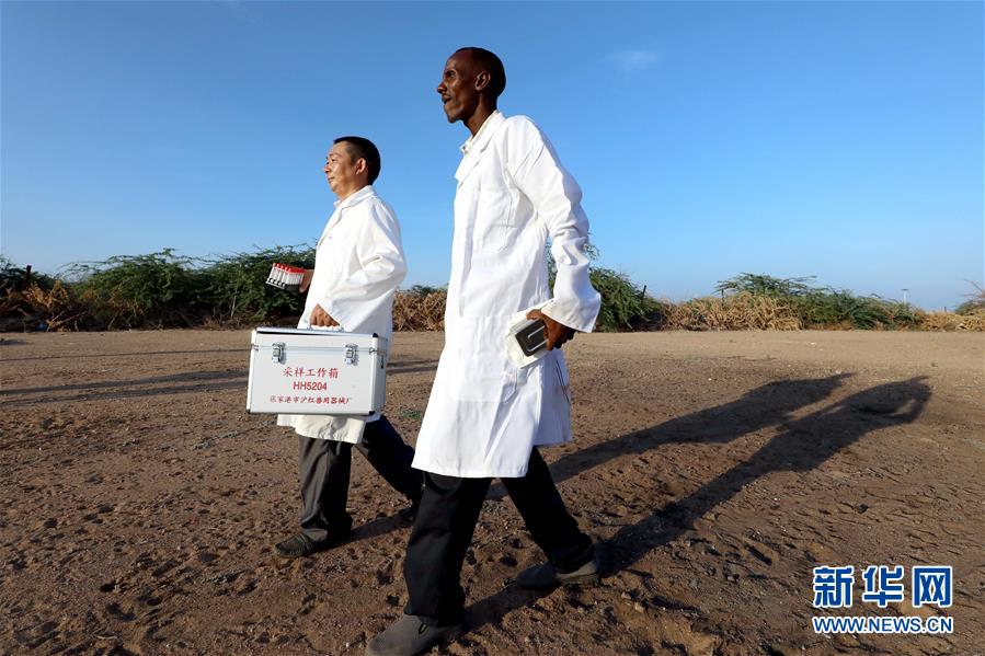 （国际&middot;图文互动）（2）中国农业专家与吉布提兽医的&ldquo;师徒情&rdquo;