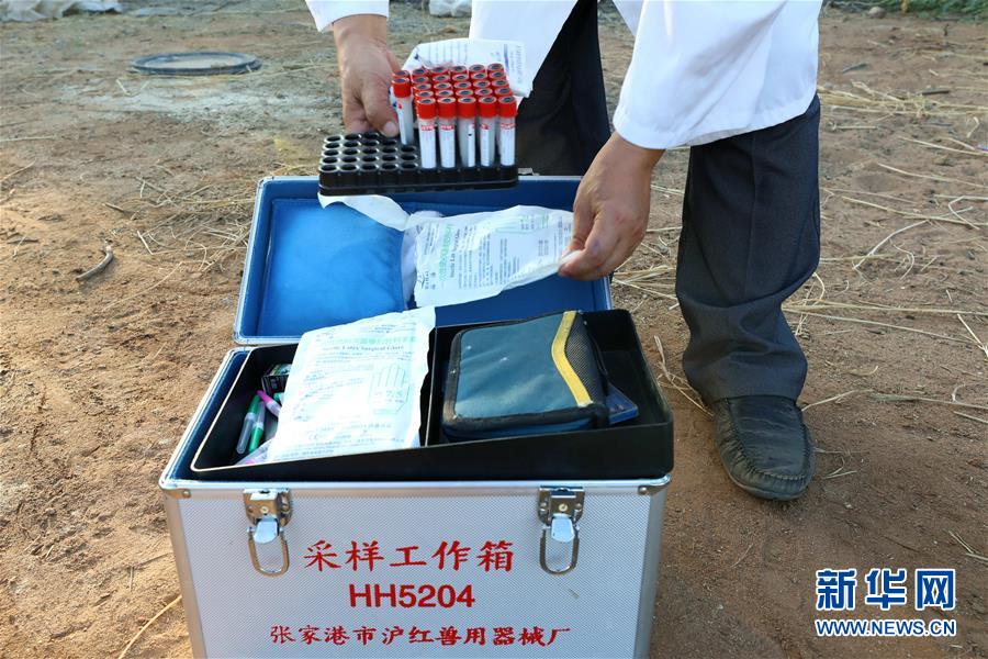 （国际&middot;图文互动）（6）中国农业专家与吉布提兽医的&ldquo;师徒情&rdquo;