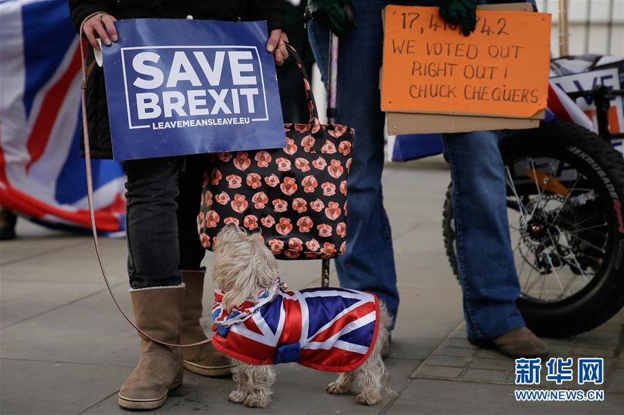 （XHDW）（6）英国议会将于下周就“脱欧”协议举行投票