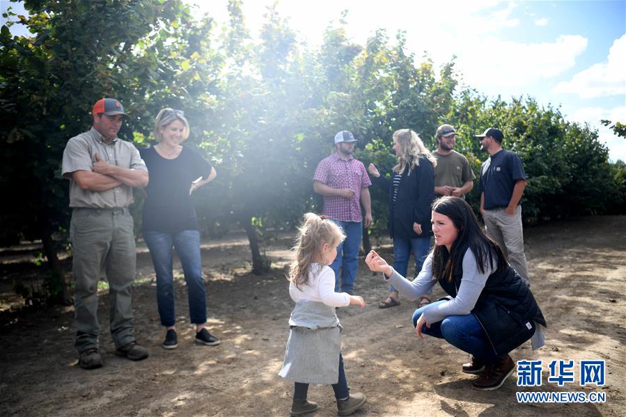 (国际·图文互动)(1)“这些树寄托着我们对中国市场的信心”——探访美俄勒冈州榛子果农