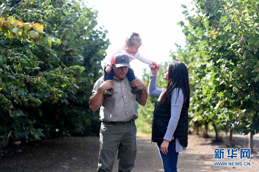 (国际·图文互动)(2)“这些树寄托着我们对中国市场的信心”——探访美俄勒冈州榛子果农