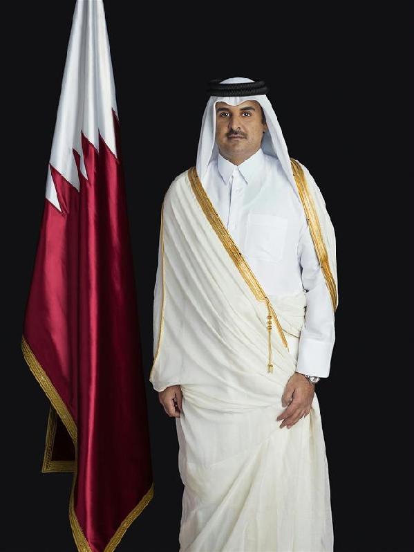 (时政)卡塔尔埃米尔像