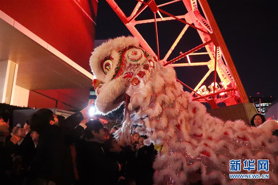（国际）（10）共享中华文化 海外喜迎新春