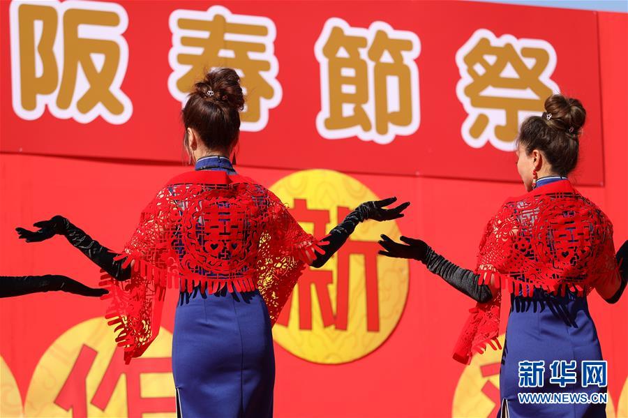 （国际&middot;图文互动）（4）欢乐贺新春　共祝祖国好&mdash;&mdash;海外华侨华人和留学生庆祝春节