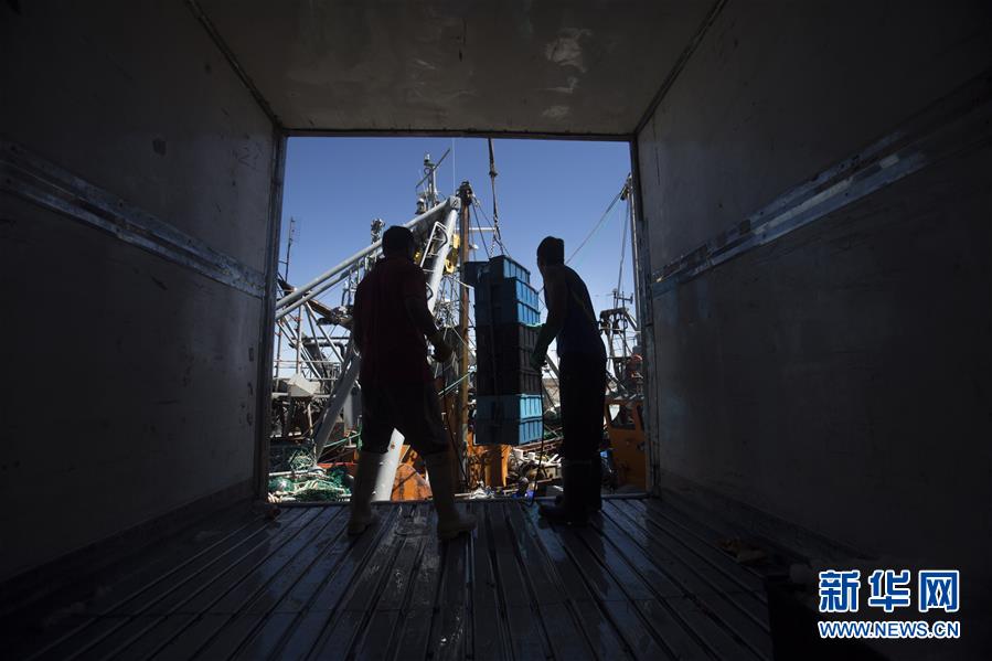 （国际&middot;图文互动）（3）阿根廷红虾征服中国人味蕾