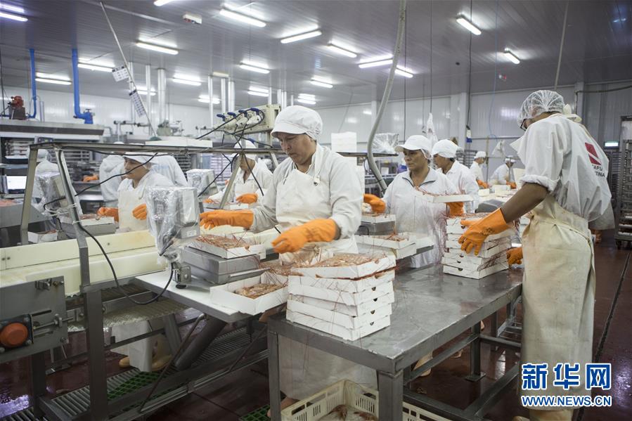 （国际&middot;图文互动）（6）阿根廷红虾征服中国人味蕾