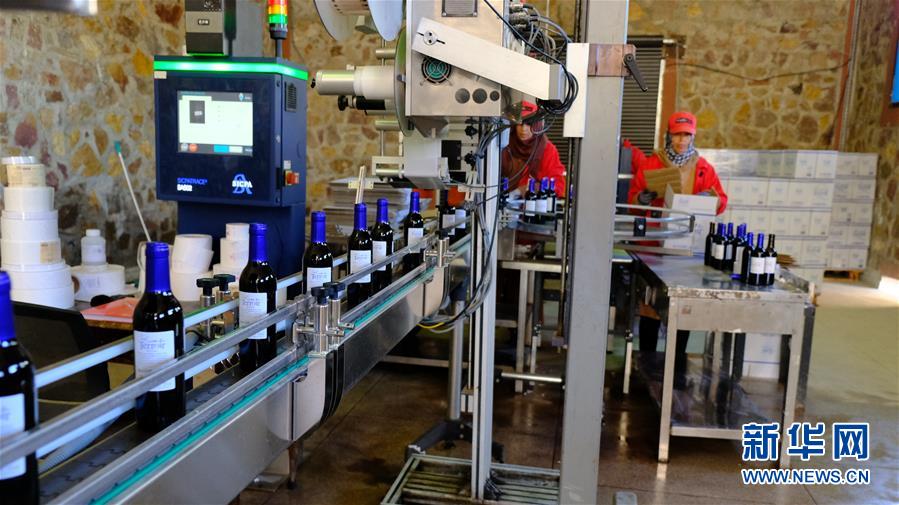 （国际&middot;图文互动）（2）摩洛哥酒庄叩开中国市场大门