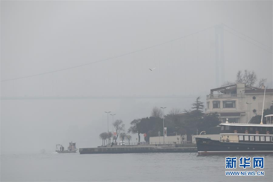 （国际）（1）伊斯坦布尔遭遇大雾
