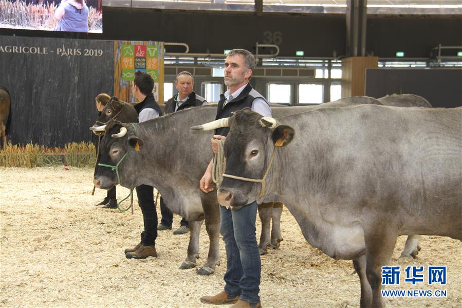 （国际）（2）第56届法国国际农业博览会