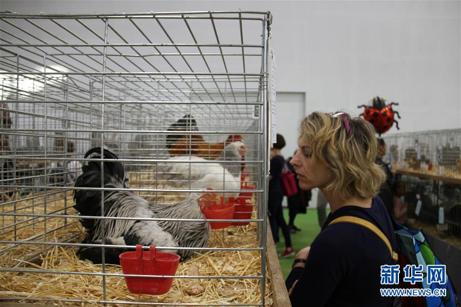 （国际）（4）第56届法国国际农业博览会