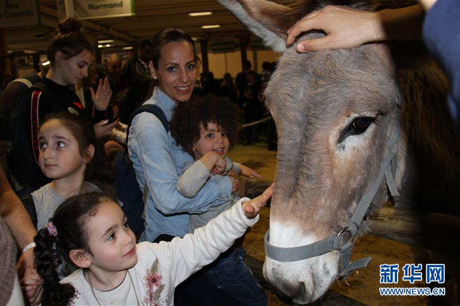 （国际）（6）第56届法国国际农业博览会