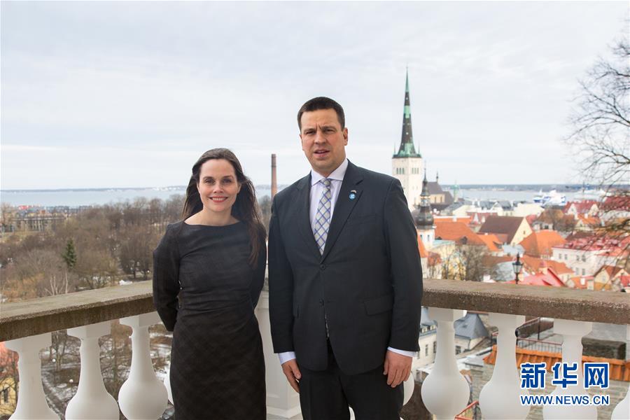 （国际）冰岛总理访问爱沙尼亚讨论数字化合作
