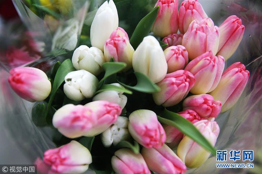 国际妇女节将至 俄罗斯鲜花市场火爆 - 新闻频