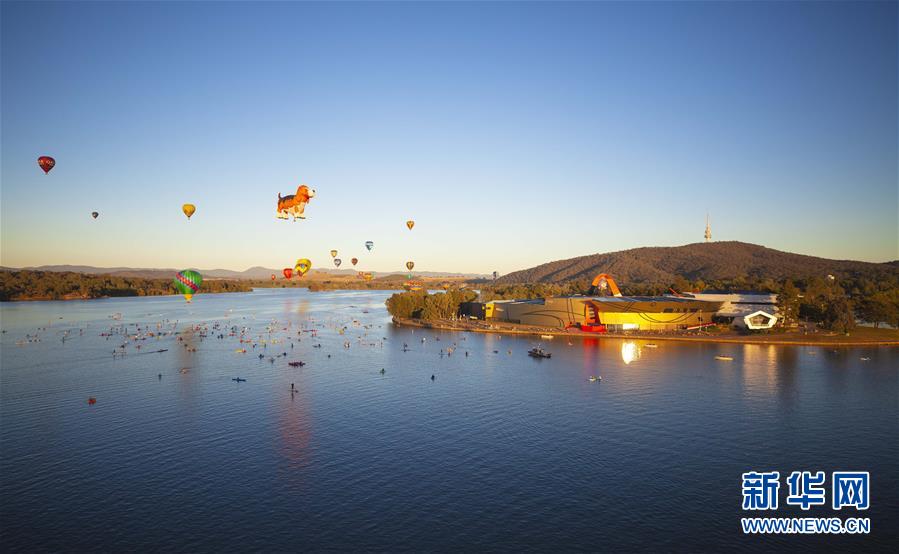 （国际）（3）堪培拉热气球节