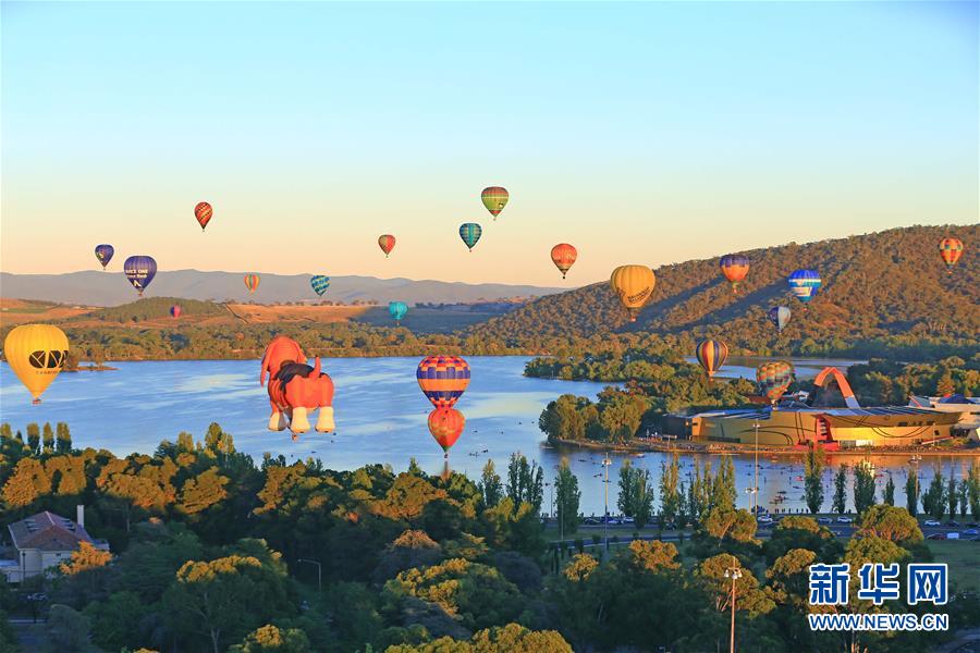 （国际）（4）堪培拉热气球节