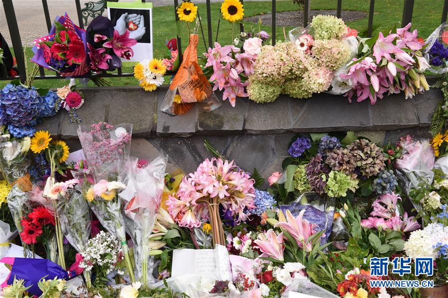 （国际）（4）新西兰克赖斯特彻奇枪击案已致50死50伤