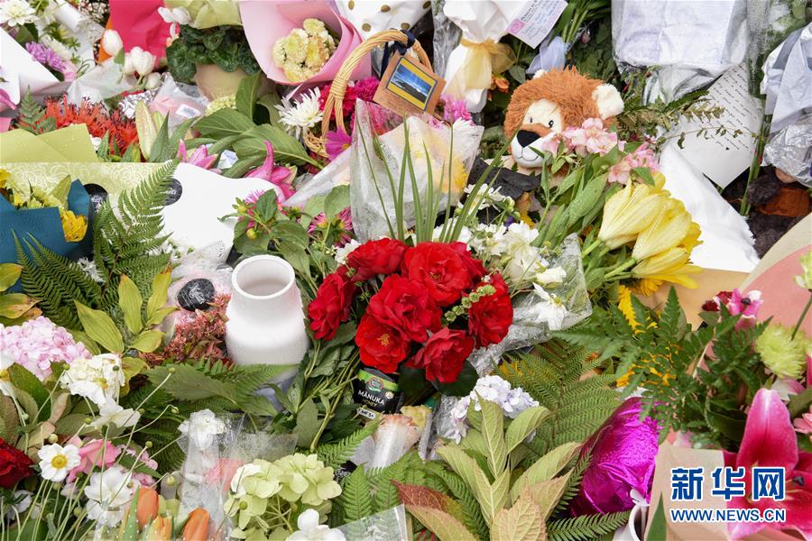 （国际）（5）新西兰克赖斯特彻奇枪击案已致50死50伤