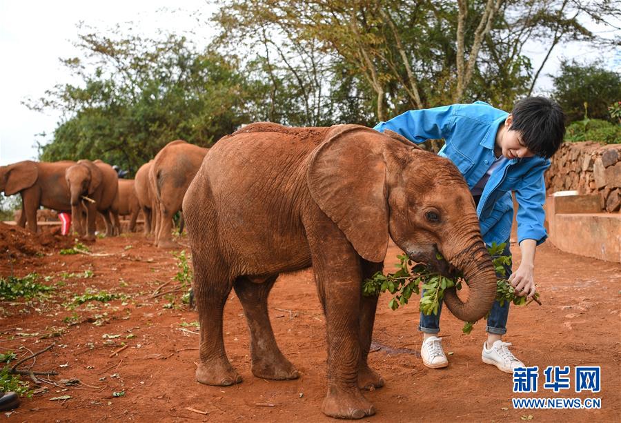 (国际·图文互动)(2)专访:环保要以身作则 从身边小事做起——访联合国环境署亲善大使王俊凯