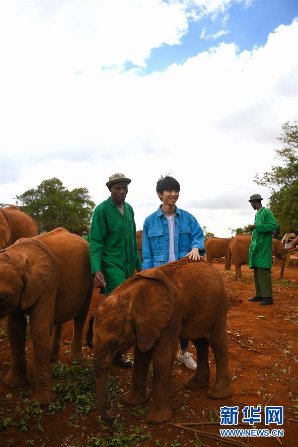 (国际·图文互动)(3)专访:环保要以身作则 从身边小事做起——访联合国环境署亲善大使王俊凯