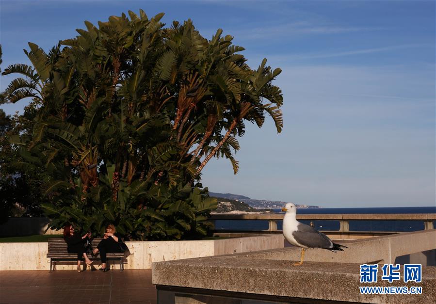 （习近平出访配合稿&middot;图文互动）（5）新闻背景：摩纳哥公国