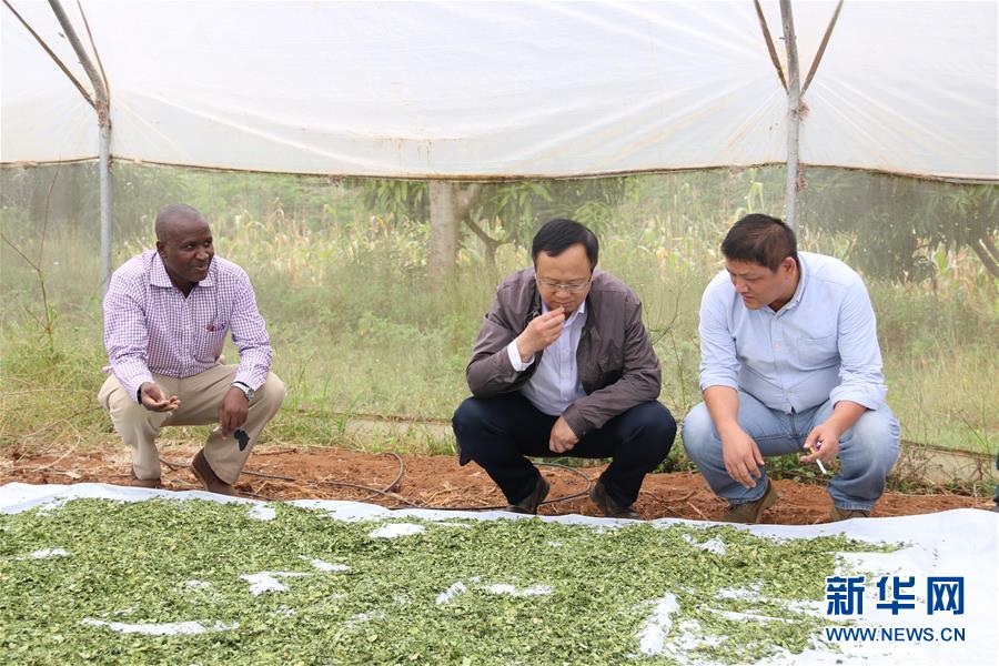 （国际&middot;图文互动）（2）中科院&ldquo;搭台&rdquo;　中非科技合作亮点多　