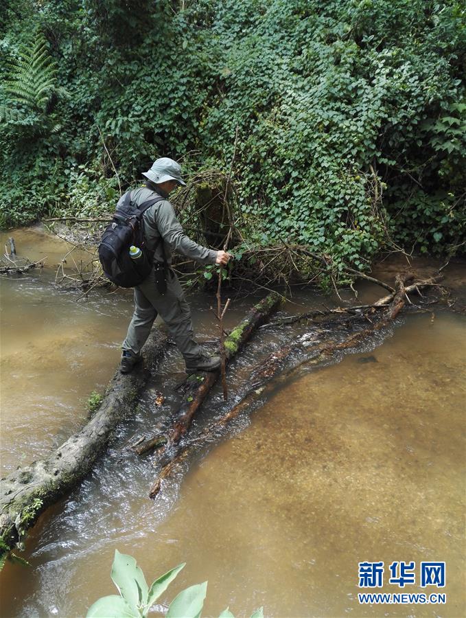 （国际&middot;图文互动）（4）中科院&ldquo;搭台&rdquo;　中非科技合作亮点多　