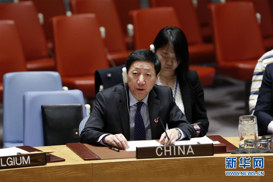 （國際·圖文互動）中國代表：“兩國方案”是化解巴以衝突的根本出路