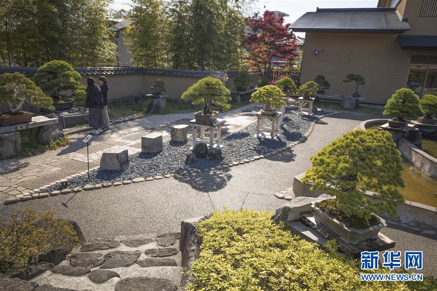 （国际·北京世园会）（1）世界园林巡礼——日本大宫盆栽美术馆