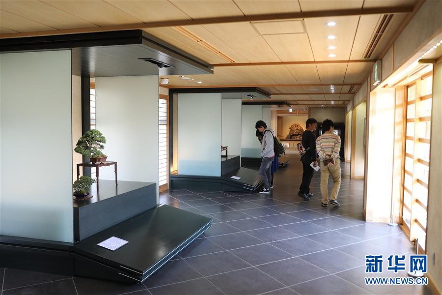 （国际&middot;北京世园会）（3）世界园林巡礼&mdash;&mdash;日本大宫盆栽美术馆