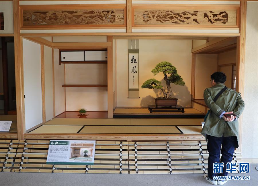 （国际·北京世园会）（10）世界园林巡礼——日本大宫盆栽美术馆