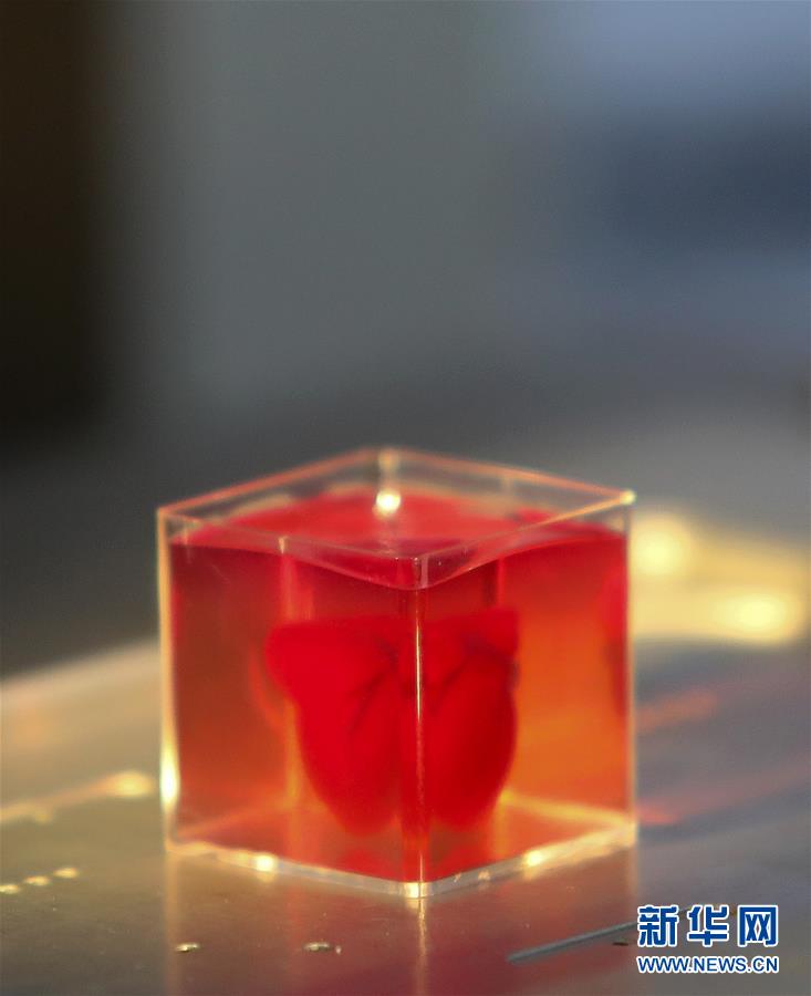 （国际）（1）以色列研究人员称3D打印出全球首颗&ldquo;完整&rdquo;心脏