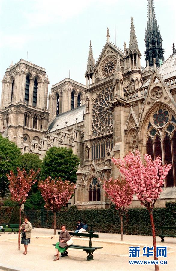 （国际·编辑连线）（1）巴黎圣母院