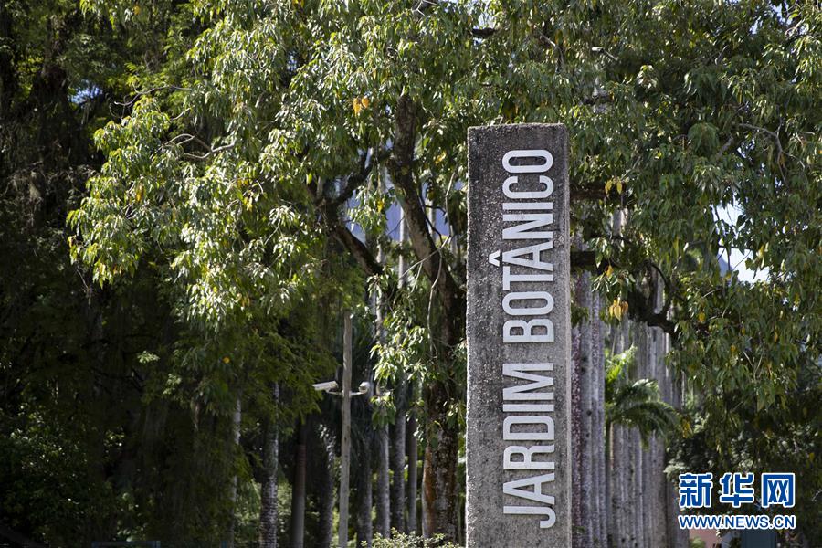 （国际·北京世园会）（2）世界园林巡礼——巴西里约植物园