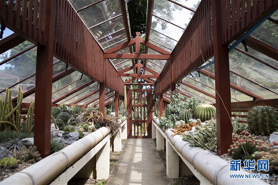 （国际·北京世园会）（11）世界园林巡礼——巴西里约植物园