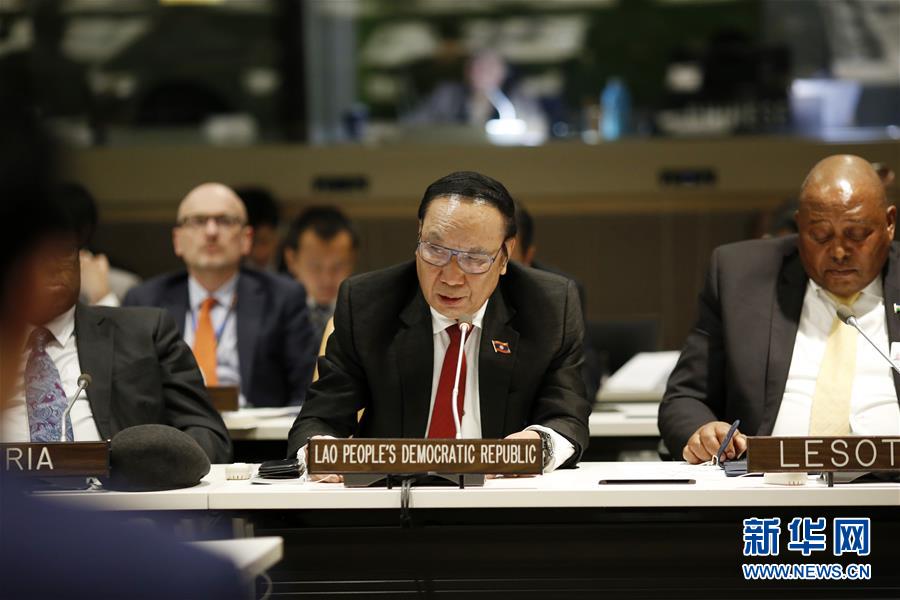 （国际）（3）&ldquo;中国草&rdquo;从&ldquo;一带一路&rdquo;走进联合国