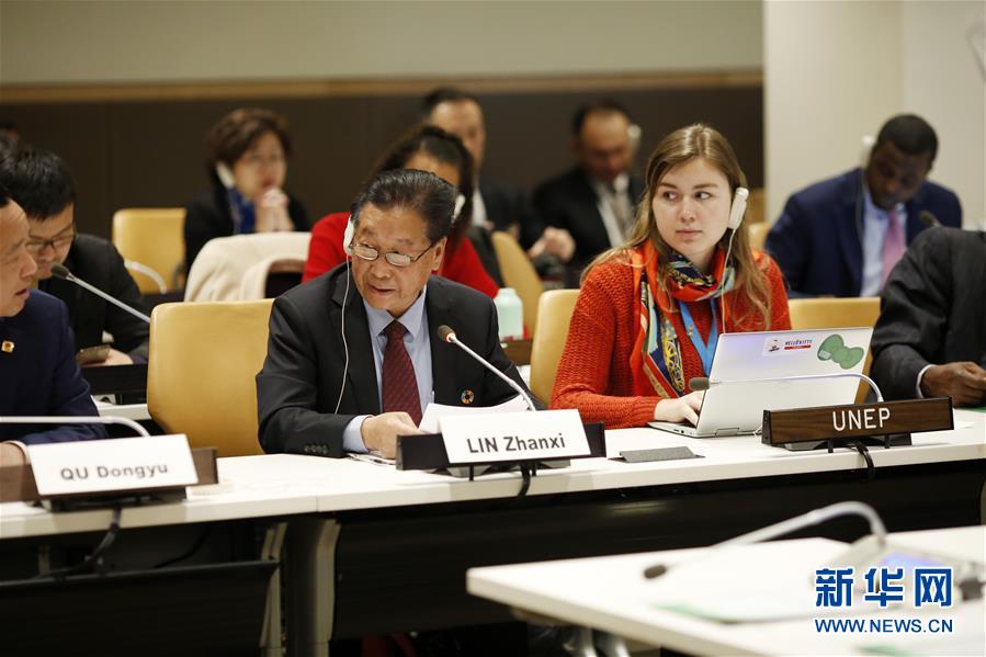 （国际）（4）&ldquo;中国草&rdquo;从&ldquo;一带一路&rdquo;走进联合国