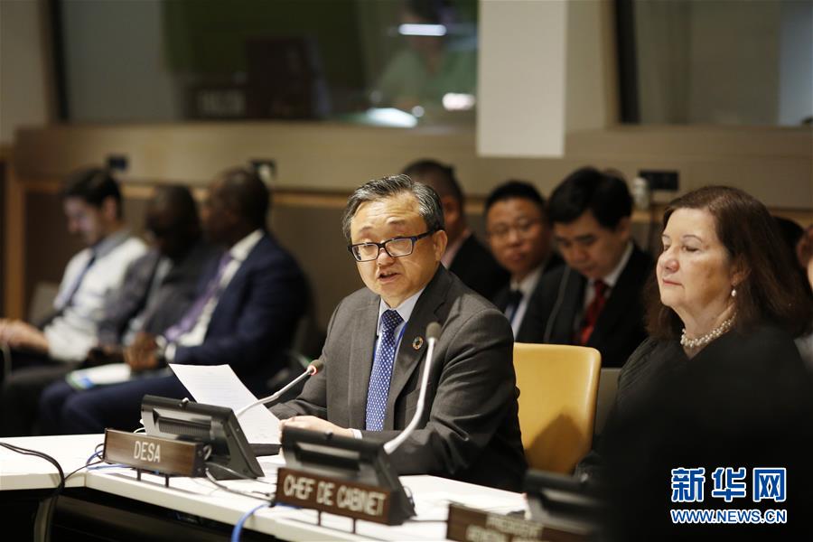 （国际）（5）&ldquo;中国草&rdquo;从&ldquo;一带一路&rdquo;走进联合国