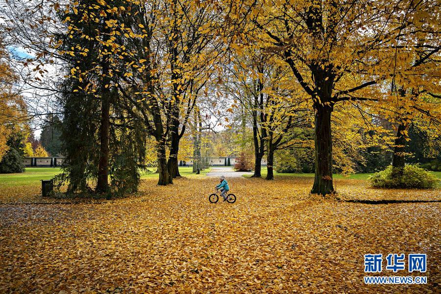 （国际&middot;编辑连线）（12）世界地球日：我们美丽的家