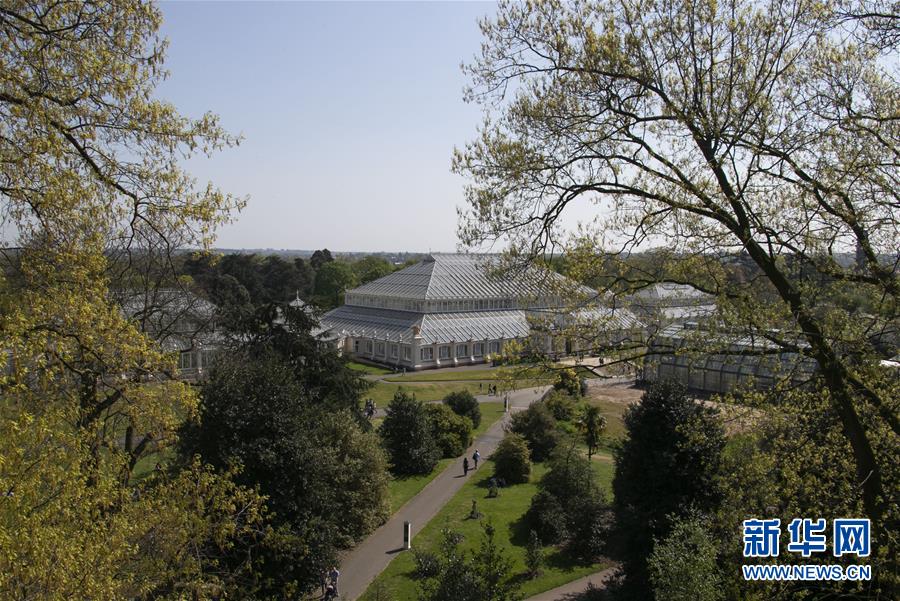 （国际&middot;北京世园会）（3）世界园林巡礼&mdash;&mdash;伦敦邱园