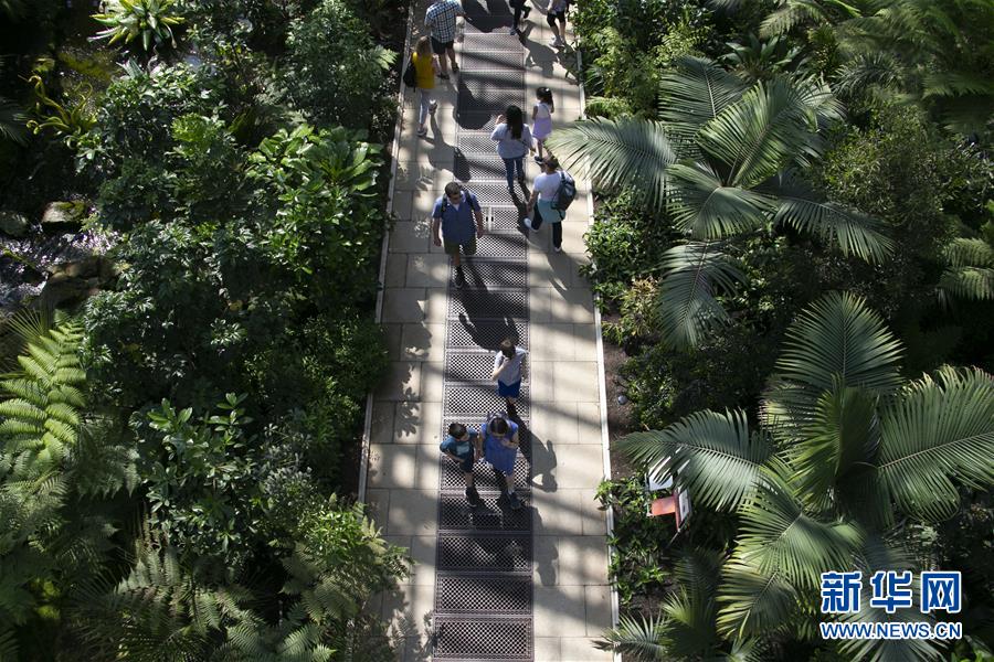 （国际&middot;北京世园会）（6）世界园林巡礼&mdash;&mdash;伦敦邱园