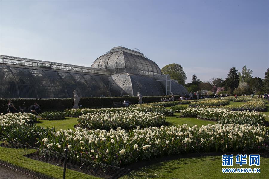 （国际&middot;北京世园会）（5）世界园林巡礼&mdash;&mdash;伦敦邱园