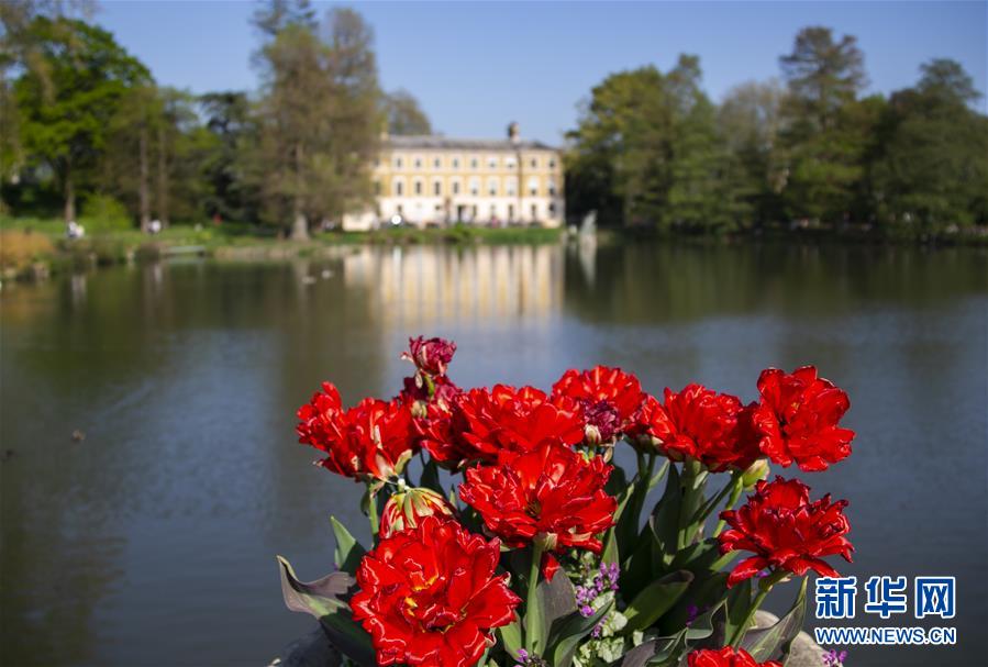 （国际&middot;北京世园会）（8）世界园林巡礼&mdash;&mdash;伦敦邱园