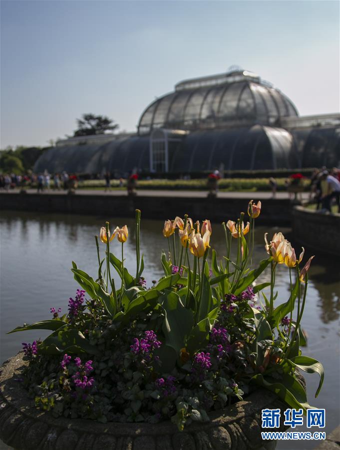 （国际&middot;北京世园会）（9）世界园林巡礼&mdash;&mdash;伦敦邱园