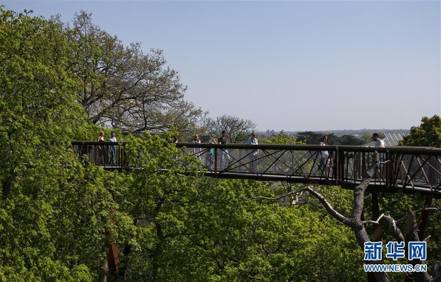 （国际&middot;北京世园会）（14）世界园林巡礼&mdash;&mdash;伦敦邱园