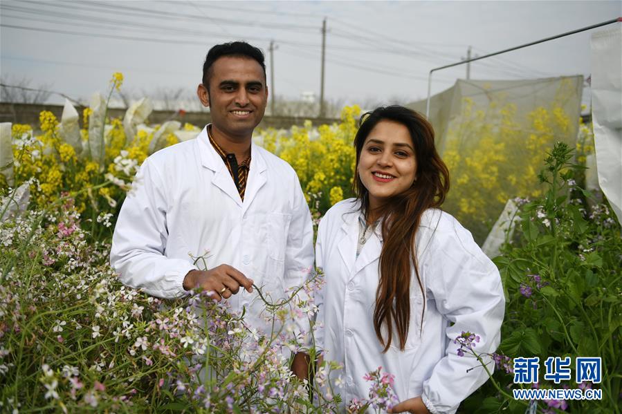 （&ldquo;一带一路&rdquo;高峰论坛）（5）融通世界 梦想与共