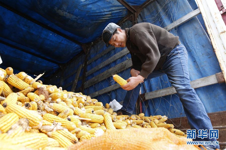 （&ldquo;一带一路&rdquo;高峰论坛）（15）融通世界 梦想与共