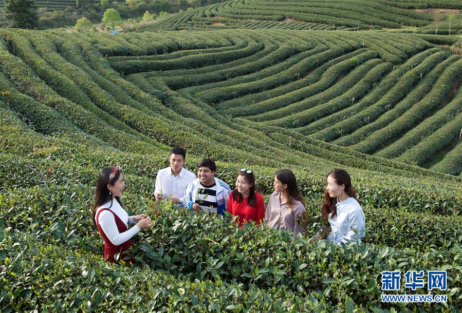 （&ldquo;一带一路&rdquo;高峰论坛）（2）融通世界 梦想与共