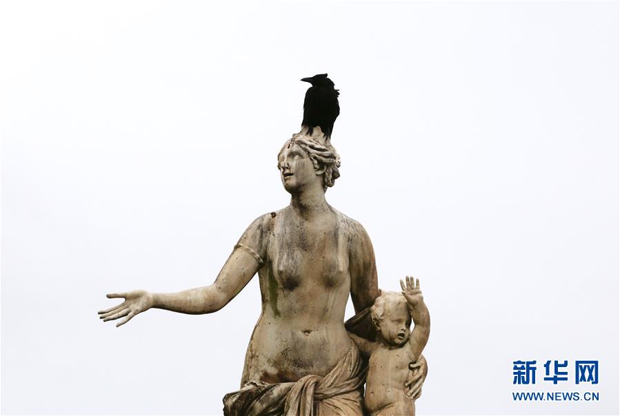 （国际&middot;北京世园会）（3）世界园林巡礼&mdash;&mdash;法国凡尔赛花园